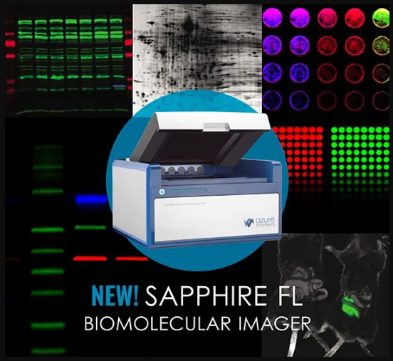Easy Screening of Autophagy-Associated Acidic Compartments with the Sapphire Biomolecular Imager